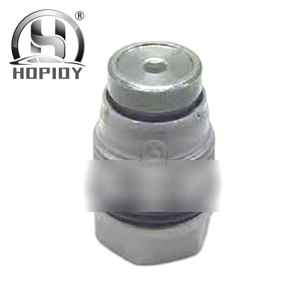 YW57 for Common rail fuel pressure relief valve 1110010029 regulating valve pressure reducing valve