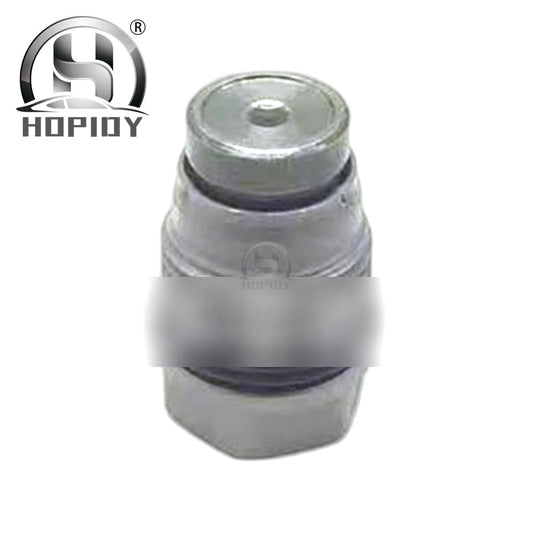 YW57 for Common rail fuel pressure relief valve 1110010029 regulating valve pressure reducing valve
