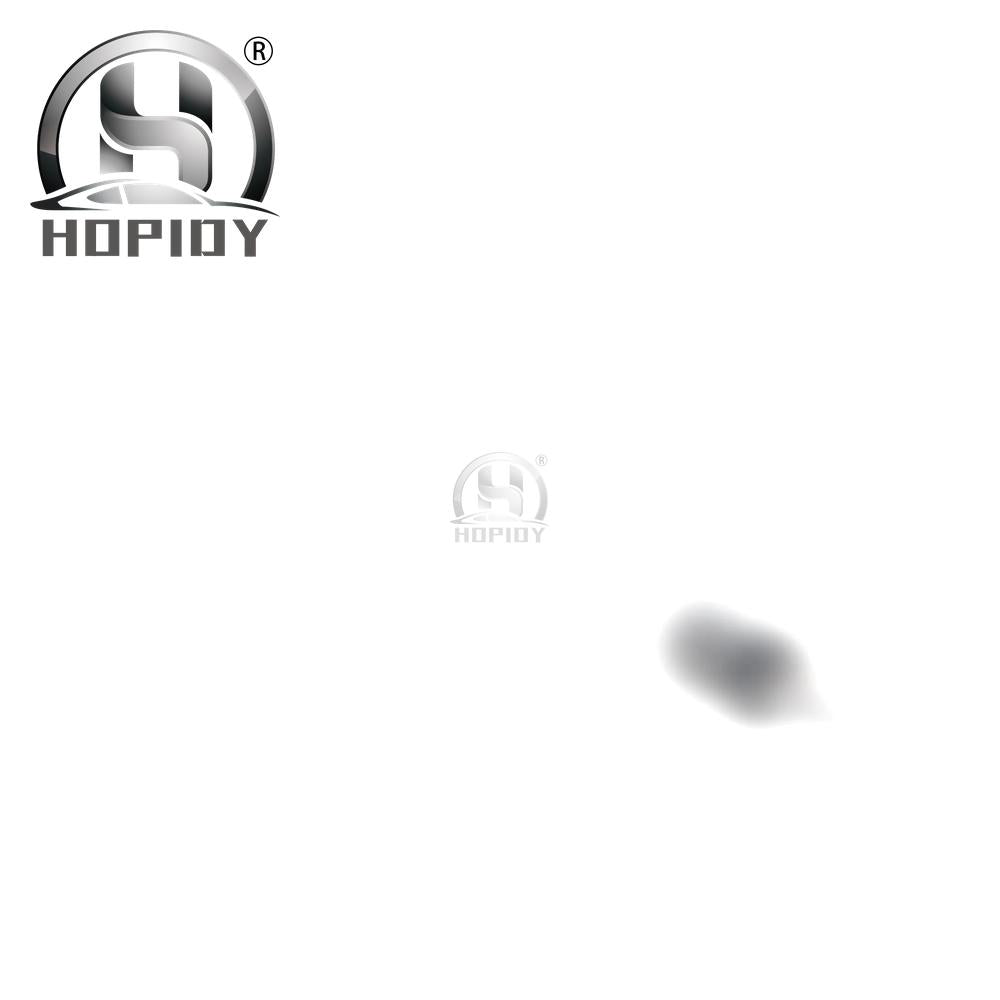 YW67 for 28326855 Delphi 28236714 Common rail 28353991 Injector A6510702787