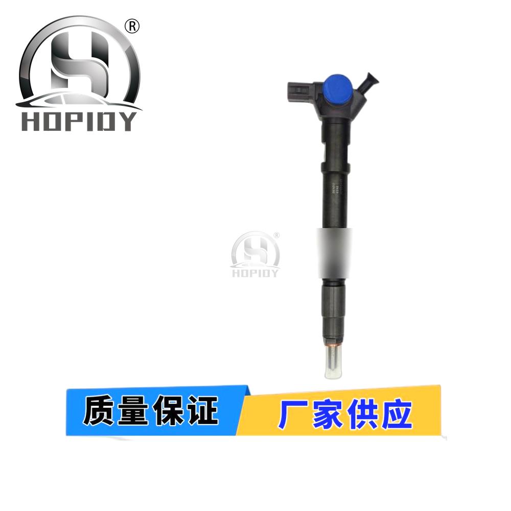 YW67 for 295700-0290 Common Rail Injector 33800-4A950 Hyundai D4CB VGT Euro 6