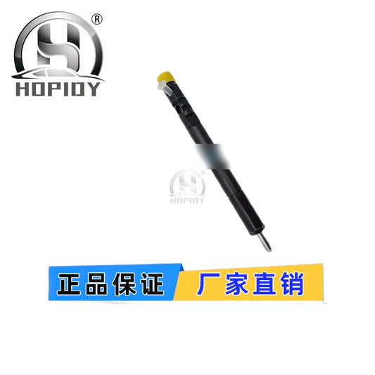 YW67 for 5102D Delphi Injector Renault Nissan Suzuki EJBR05102D Injector Nozzle Assembly