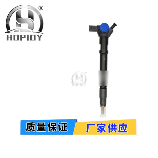 YW67 for 295700-0290 Common Rail Injector 33800-4A950 Hyundai D4CB VGT Euro 6